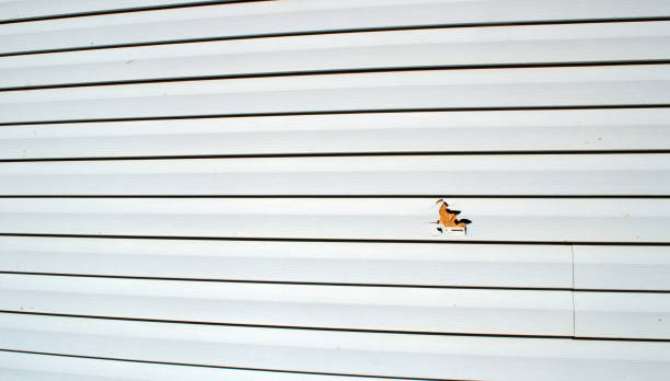 Reliable Santa Fe Springs, CA Siding Installation & Repair Solutions